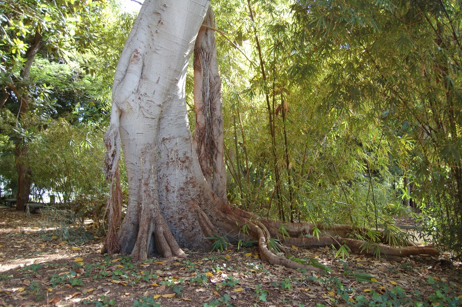 DSC_0092