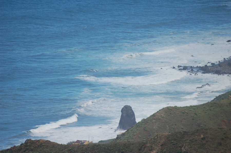 DSC_0082