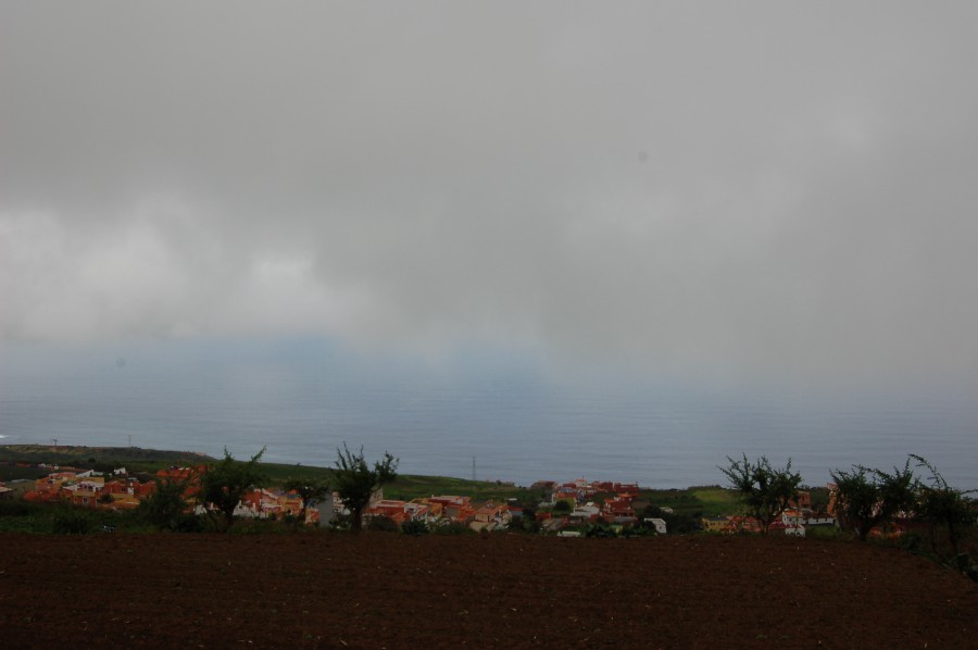 DSC_0228