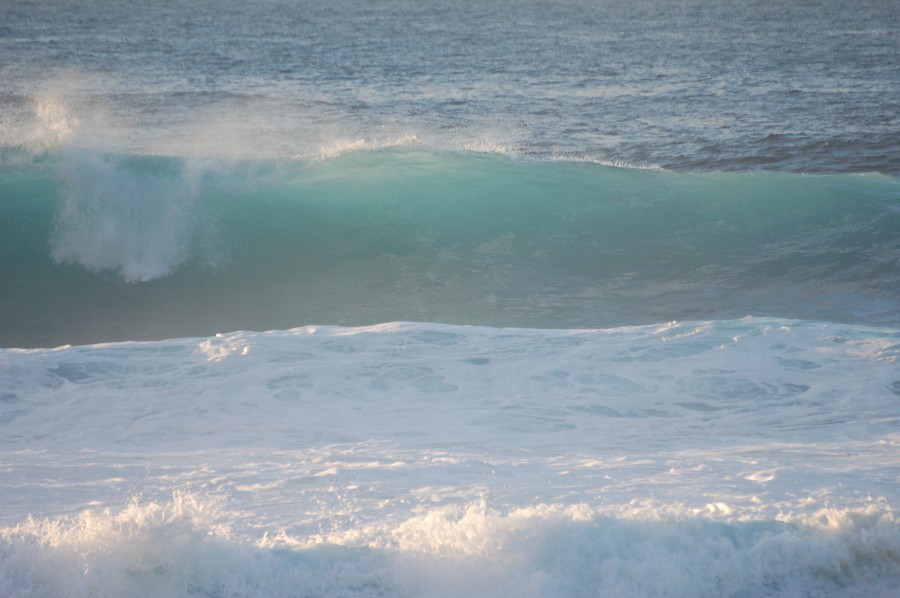 DSC_0120