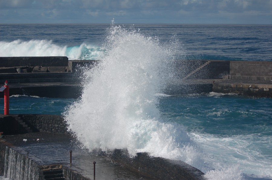 DSC_0381