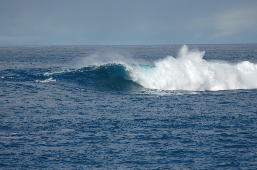 DSC_0538